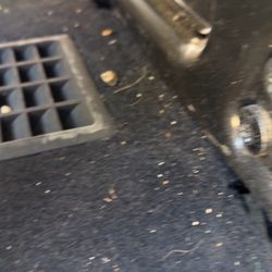 Budget Rent A Car - Still shot of ants with date and time stamp 5/30/25 at 3:48pm MST