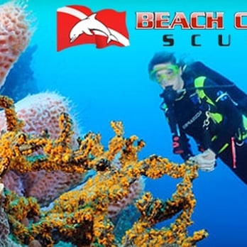 Beach Cities Scuba - Scuba Diving Near Me - Newport Beach, California Beach Cities Scuba - Scuba Diving Near Me - Newport Beach, California