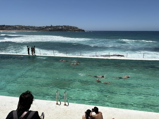 Bondi Icebergs Swimming CLUB by null