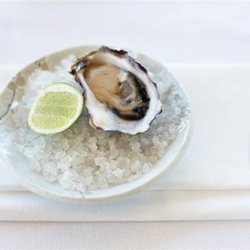 The Baths - Oyster. Image Credit: The Baths