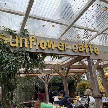 Sunflower Caffe - Out seating - Coffee & Tea Near Me - Sonoma, California Sunflower Caffe - Out seating - Coffee & Tea Near Me - Sonoma, California
