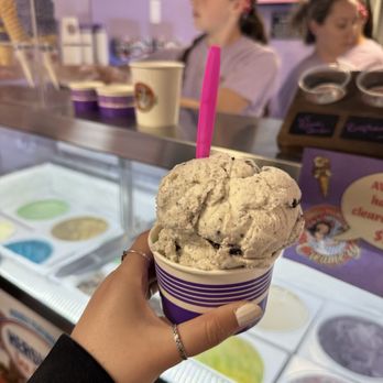 Apponaug Village Creamery - Ice Cream & Frozen Yogurt Near Me - Warwick, Rhode Island Apponaug Village Creamery - Ice Cream & Frozen Yogurt Near Me - Warwick, Rhode Island