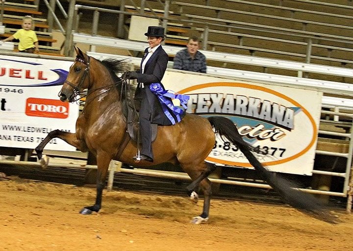 Bray's Training Center - equestrian in Benton, AR