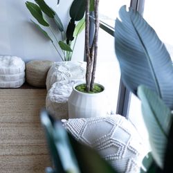 Tranquility Wellness Studio