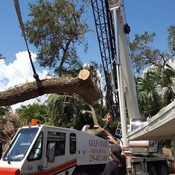 All Around Tree Specialist - Tree Services Near Me - Punta Gorda, Florida All Around Tree Specialist - Tree Services Near Me - Punta Gorda, Florida