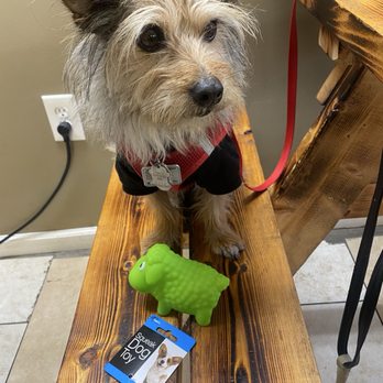 Dusty's Gourmet Dog House - Dog toy from the claw machine - Hot Dogs Near Me