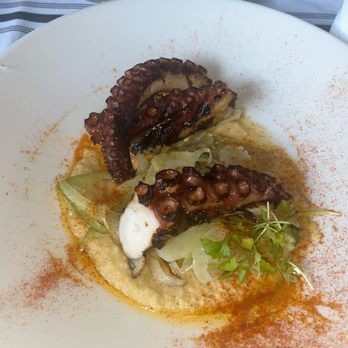 Sofia - octopus alla brace - Steakhouses Near Me - Englewood, New Jersey Sofia - octopus alla brace - Steakhouses Near Me - Englewood, New Jersey