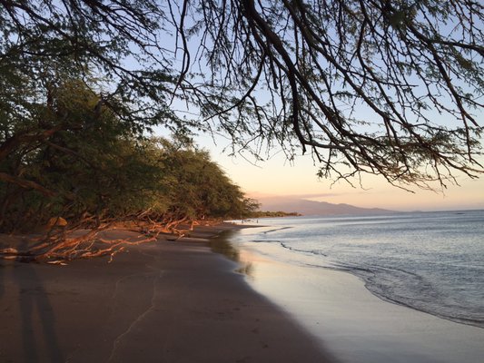 Olowalu Beach by null