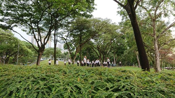 Bishan-Ang Mo Kio Park by null