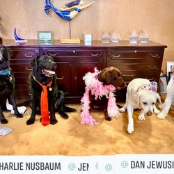 Nusbaum Insurance