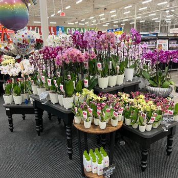 H-E-B - Grocery Near Me - Plano, Texas