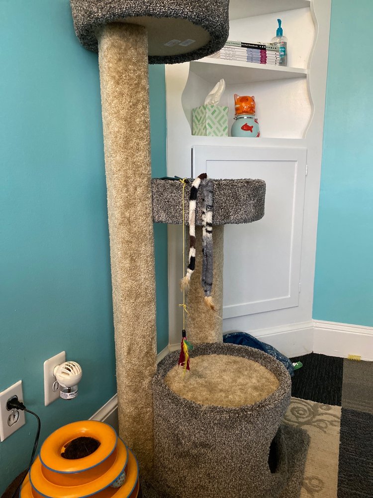 CLEVENGERS CORNER VETERINARY CARE Updated September 2024 15 Photos