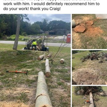 2 Tree Fellers - Tree Services Near Me