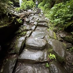 Grotto Falls - Slippery steps