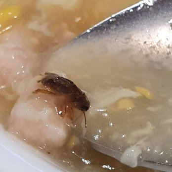 Dumpling Depot - Dim Sum Near Me - Sunnyvale, California
