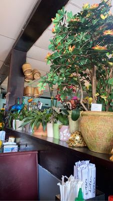 Hot Cafe by null
