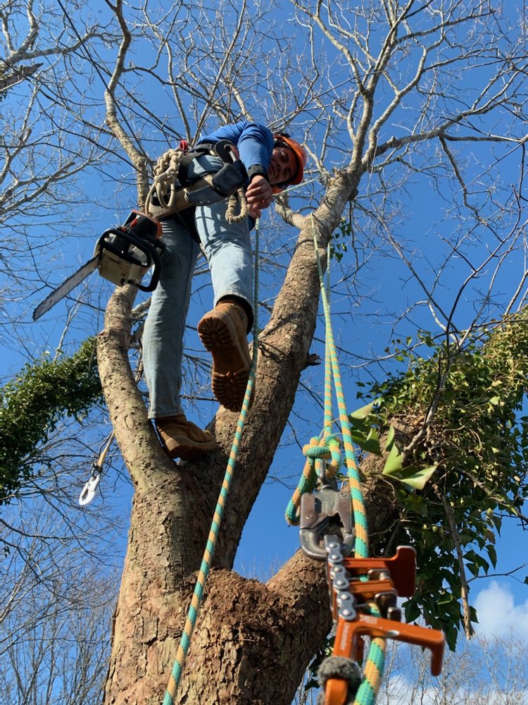 KLEVER’S ELECTRICAL MAINTENANCE Updated June 2024 East Hampton, New