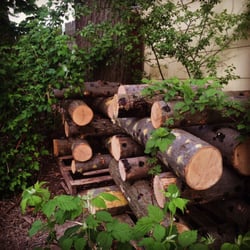 5 Loaves Farm - Shiitake mushroom logs.