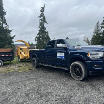 Washington Tree Services - Tree Services Near Me - Bothell, Washington Washington Tree Services - Tree Services Near Me - Bothell, Washington