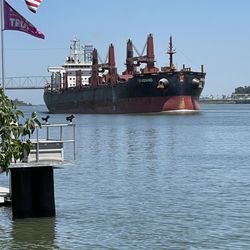 Delta Marina Yacht Harbor - Big ship