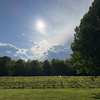 Shelburne Vineyard - View of the vineyards - Venues & Event Spaces Near Me - Shelburne, Vermont Shelburne Vineyard - View of the vineyards - Venues & Event Spaces Near Me - Shelburne, Vermont