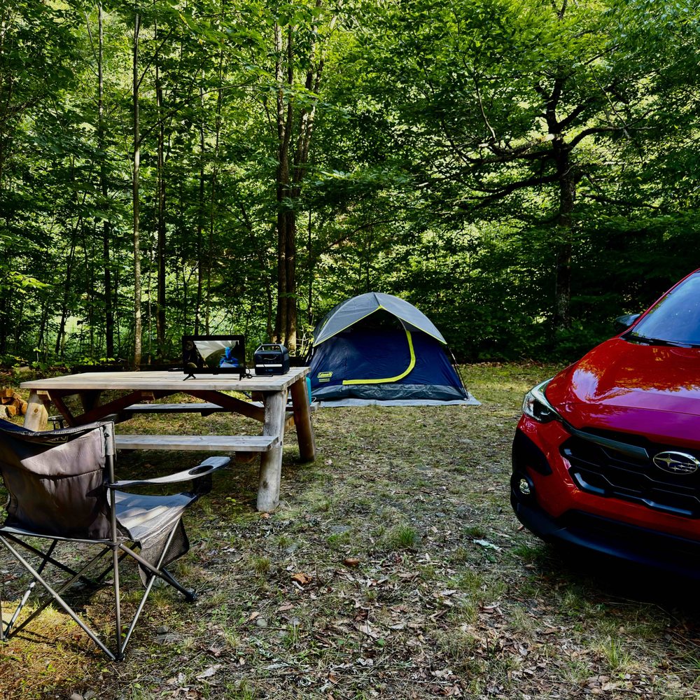 party tent frame Commercial Marquee 20x20 – Big Top Inflatables Camper Ausziehbett selber bauen in nur 1 Stunde (Matratze (Hochresilient HR35)):Mit Matratze (+450€) this versatile gazebo is fits_1983-1986`Buick`Regal`T-Type~2002-2007`Buick`Rendezvous`CX~2002-2003`Buick`Rendezvous`CX Plus~2005`Buick`Rendezvous`CX Plus~2002-2007`Buick`Rendezvous`CXL~2002-2003`Buick`Rendezvous`CXL Plus~2005`Buick`Rendezvous`CXL Plus Stepper,Mini Treadmill Steppers Pedal