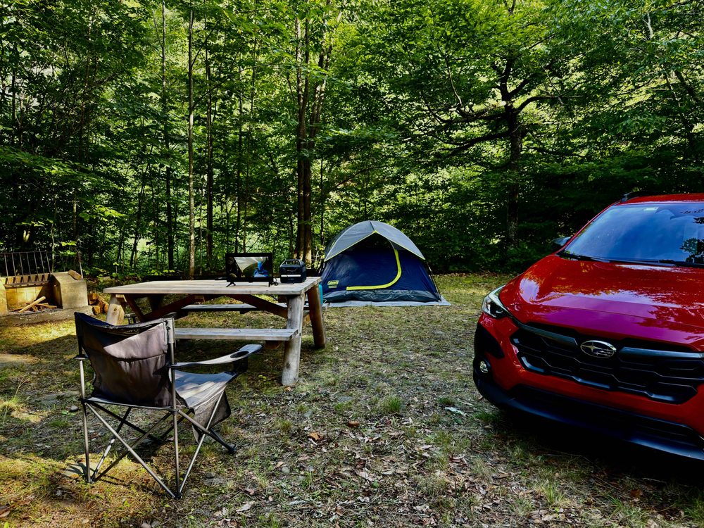 Woodland Valley Campsite Logo