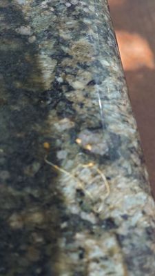 Viva Jalisco bar & grill