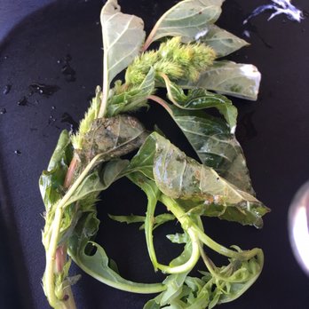 CAVA - What the heck is this? Definitely not something I want to eat. - Mediterranean Near Me - San Diego, California