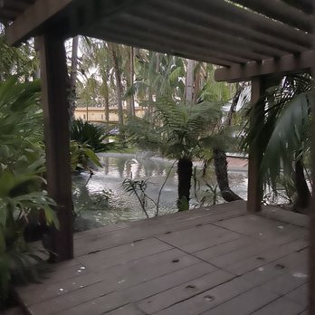 Bahia Resort Hotel - I took the long way back to the room because look at the cute pathway i mean who wouldn't wanna do the extra steps thru this little jungle - San Diego, CA