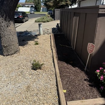 Dlagos Lawn Care And Landscaping - Front yard near street.  Added new rock and plants - Landscaping Near Me - Modesto, California