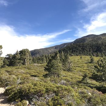 San Bernardino Peak - Manzanita flats about 3 miles jn - Hiking Near Me San Bernardino Peak - Manzanita flats about 3 miles jn - Hiking Near Me