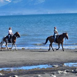 Homer Horse Adventures