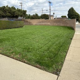 Fresh mow