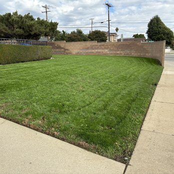 CM Landscaping Services - Fresh mow - Tree Services Near Me