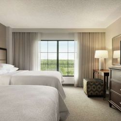 Embassy Suites by Hilton Atlanta Alpharetta - Guest room