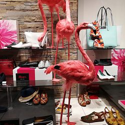 Leiser Schuh - Pink Flamingos in der Schaufensterdeko