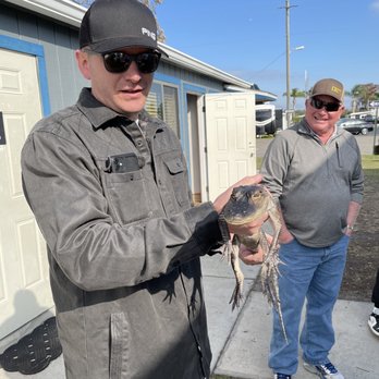 Wild Willy's Airboat Tours - Baby gator you can hold after your ride! - Boat Tours Near Me - Saint Cloud, Florida