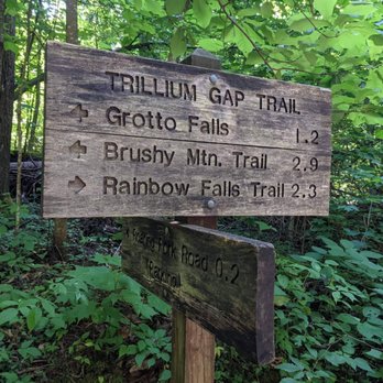 Grotto Falls - Hiking Near Me - Gatlinburg, Tennessee