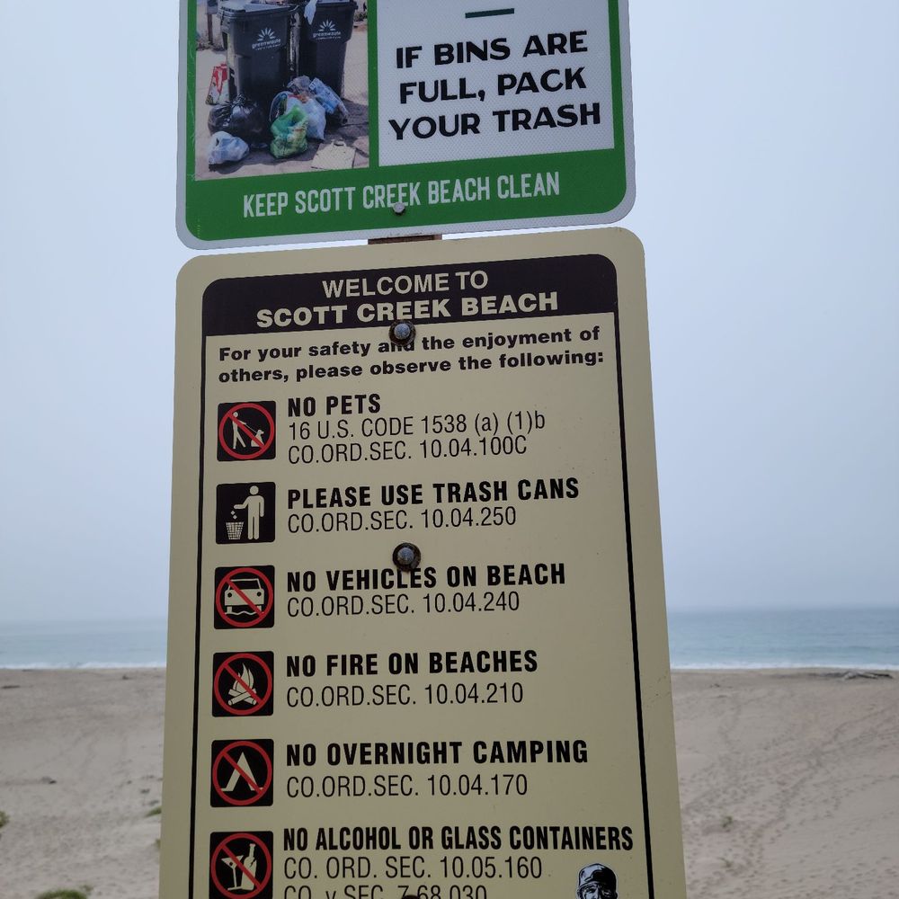 Scott Creek Beach - Beaches Near Me - Davenport, California
