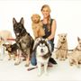 Photo of Shay's Behavioral Dog Training