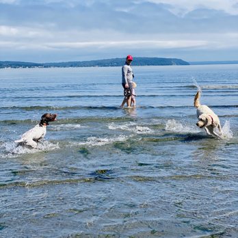Double Bluff Beach - New friend! - Beaches Near Me - Freeland, Washington