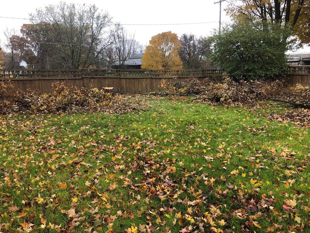 PAUL’S TREE SERVICE Updated August 2024 3146 Francis St, Jackson