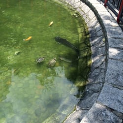 荷李活道公園