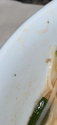 Phở Tài by null