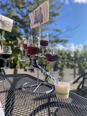 Peninsula Cellars by null