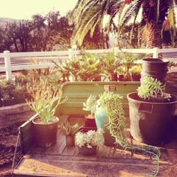 Plantenders Nursery