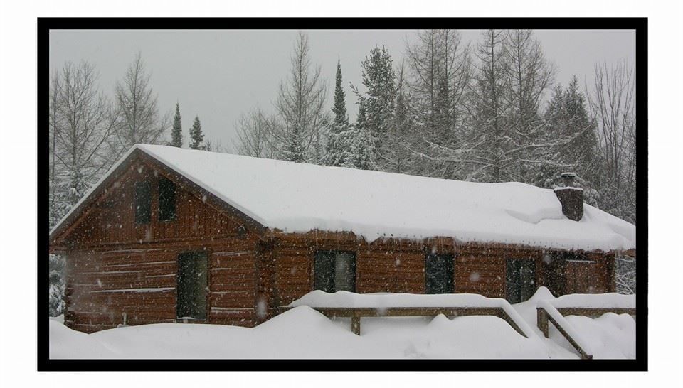 THE LOG CABIN RETREAT Updated September 2024 16 Photos E12298