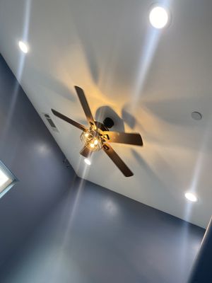 Erin Sons Electric Logo