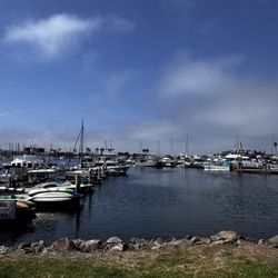 Sportsmen's Seafood - Mission Bay